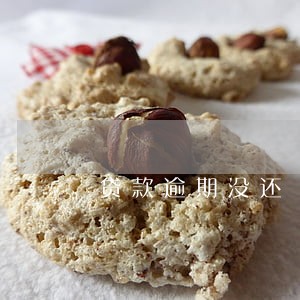 贷款逾期没还 上了诚信名单 贷款逾期没还 上了诚信名单